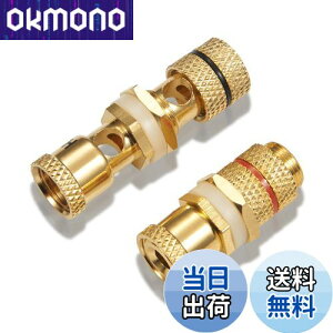 yzyoiivOp XXzby yWYVERN AUDIOz oiivO/pI v≏ X̃X WV-CHU-K 11 (21g)