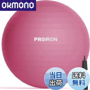 �y���������zPROIRON �o�����X�{�[�� 65cm ���b�h �n���h�|���v�t�� �^���s���̉���