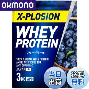 �y���������z�G�N�X�v���[�W���� �v���e�C�� 3kg �z�G�C�v���e�C�� �u���[�x���[�� WPC X-PLOSION ���{����