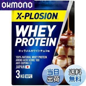 �y���������z�G�N�X�v���[�W���� �v���e�C�� 3kg �z�G�C�v���e�C�� �L���������z���C�g�`���R�� WPC X-PLOSION ���{����