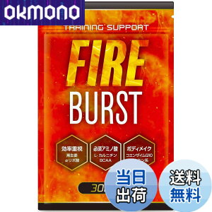 �y���������z�yFIRE BURST�z L-�J���j�`�� BCAA �T�v�� �^�u���b�g ���I�f�� 30����