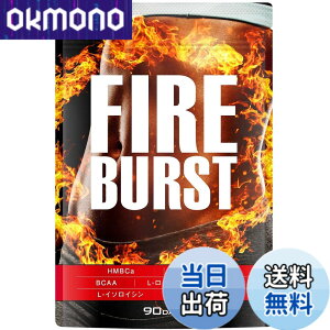 �y���������z�yFIRE BURST�z L-�J���j�`�� BCAA�z�� �T�v�� ���I�f�� 90����