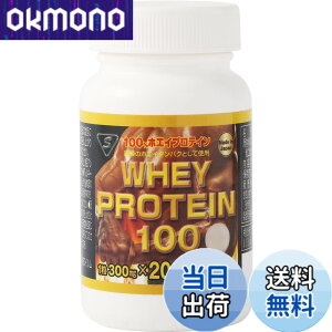 �y���������zWHEYPROTEIN100 �y �z�G�C �v���e�C�� ���� �z �ؓ� �T�v�� �^�u���b�g �^���p�N�� whey protein �����^��
