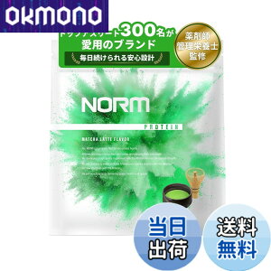�y���������zNORM �m�[�� �z�G�C �v���e�C�� �l�H�Ö����s�g�p �������e 1kg �������� 300���ȏ�̃g�b�v�A�X���[�g���p WPC WHEY PROTEIN �z�G�C�v���e�C��