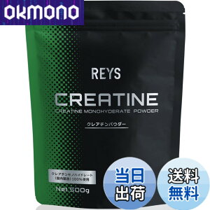 �y���������zREYS ���C�Y �N���A�`�� �p�E�_�[ 500g �R�V�疾 �ďC�y�g�p�ڈ� ��100�񕪁z�N���A�`�����m�n�C�h���[�g�i���������j100%�g�p �m���t���[�o�[