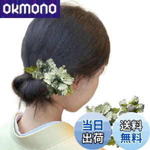 �y���������zGFun ������ �w�A�A�N�Z�T���[ �� �N���b�v 3�Z�b�g ���� �ԉΑ�� ������ �a�� ���l�� ���Ǝ� ������ ���\�� �m�� �F�F���C�g�O���[��