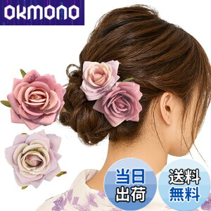 �y���������zGFun ������ �w�A�A�N�Z�T���[ �� �N���b�v 2�Z�b�g ���� �ԉΑ�� ������ �a�� ���l�� ���Ǝ� ������ ���\�� �m�� �F�F���[�Y�s���Nx���C�g�p�[�v��