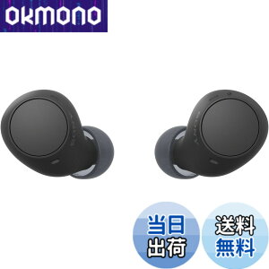 �y���������z�\�j�[(SONY) ���S���C�����X�C���z�� WF-C500/WF-C510 :/�����x�ʘb�i��/IPX4�h�H���\ �F�F�u���b�N�A�T�C�Y�F���^�y��