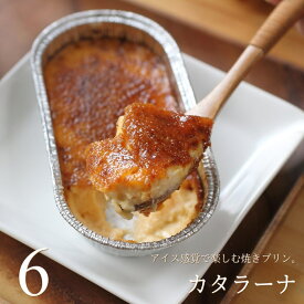 カタラーナ 6個入り 焼きプリン ブリュレ スイーツ ギフト プレゼント お菓子 送料無料 のし 出産 結婚 内祝い お祝い お返し お礼 誕生日 産直 母の日 父の日 カスターニャ 広島