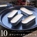 チーズケーキ カマンベールチーズケーキ 10個入り チーズケーキお取り寄せ 個包装 父の日 お中元 誕生日 内祝い 出産 結婚 お祝い お返し お礼 濃厚 スイーツ ギフト プレゼント とろ生食感 小さなサイズ お試し ラッピング のし メッセージカード対応 広島