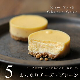 チーズケーキ まったりチーズ・プレーン 5個 チーズケーキお取り寄せ ニューヨークチーズケーキ 個包装 小分け 父の日 お中元 誕生日 内祝い 出産 結婚 お祝い お返し お礼 濃厚 スイーツ ギフト プレゼント 送料無料 お試し のし シーズ 広島