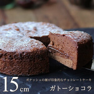 Kg[VR 15cmi5TCYjZ `R[gP[L KibV `R[g P[L XC[c Mtg v[g z[P[L oY  j j Ԃ  a ̂Ή