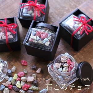 o^C `R 2026 `R ΂`R i񂰑ܕtj  `R[g ʔ j[N 킢   Jt Xg[  ` ԂȂ A