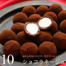 生チョコトリュフ ショコラネージュ 10個入り チョコレート 高級 高級感 トリュフ 生トリュフ ボンボン ショコラ ギフト ハーベストタイム 広島