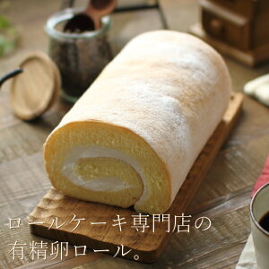 [P[LX 藑̗L[ 16cm N [P[LX XyVeB XC[c Mtg v[g  ̂ oY  j j Ԃ  a b