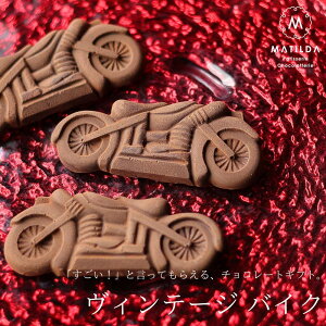 o^C `R 2026 `R re[WoCN 1i񂰑ܕtj  `R[g ʔ j[N 킢    1 I[goC oCN re