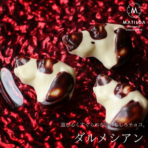 o^C `R 2026 `R _VA 1 i񂰑ܕtj  `R[g ʔ j[N 킢   1  Ck  ` Mtg lC { ` F`