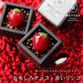 バレンタイン チョコ 2026 おもしろチョコ 赤いリンゴ 1個 （手提げ袋付き） もしろ チョコレート 面白い ユニーク かわいい おしゃれ 高級 1粒 りんご アップルシナモン 形 かぶらない リアル ギフト 人気 本命 義理 友チョコ 職場 VD