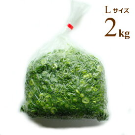広島県産ネギ カットねぎ （青ねぎ） Lサイズ 2kg 業務用食材 仕入 カットネギ 葱 ネギ根元サイズ：15mm以上