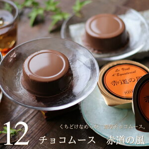 濃厚チョコレートムース 赤道の風 12個入り チョコプリン チョコレート ムース プリン チョコスイーツ スイーツ ギフト 夏ギフト ポワブリエール 広島 のし 出産 結婚 内祝い お祝い お返し