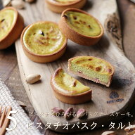 チーズケーキ ピスタチオ・バスクチーズケーキ・タルト 5個セット 個包装 送料無料 タルトケーキ チーズ…
