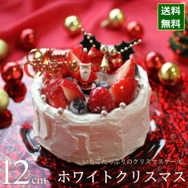 楽天市場 クリスマスケーキ キャラクターの通販
