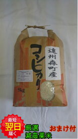 【令和5年産　新米】静岡県森町　堀内農場特別栽培米(減農薬5割減、減化学肥料9割減）コシヒカリ☆白米5kg送料無料※北海道、沖縄は発送見合わせております。