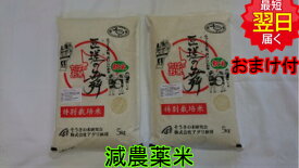 【令和5年産　新米】千葉県匝瑳市産　特別栽培米(減農薬5割減、化学肥料5割減）匝瑳の舞プレミアム☆白米10kg（5kg袋×2）送料無料※北海道、沖縄は発送見合わせております。