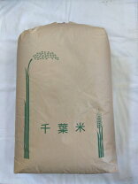 楽天市場】ふさおとめ 30kgの通販