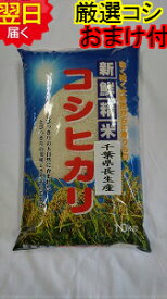 【令和5年産　新米】千葉県産　長生産　コシヒカリ　☆白米10kg送料無料※※北海道、沖縄は発送見合わせております。