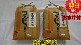 【令和5年産　新米】千葉県産　長生産　コシヒカリ　★玄米10kg送料無料※北海道、沖縄は発送見合わせております。