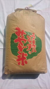 Vi킨iyߘa7NY@Vāz{錧oĎY@Đ@{ĐXo^X@30kg(Ė)kCA͔킹Ă܂B