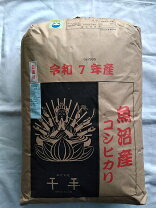 楽天市場】富山 コシヒカリ 新米 30kの通販