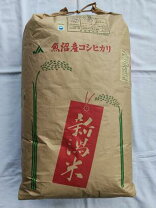 楽天市場】千葉県産 コシヒカリ 玄米30kgの通販