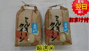 【令和7年産　新米】長野信濃町　ミルキークイーン　白米10kg(5kg×2袋）送料無料※北海道、沖縄は発送見合わせております。
