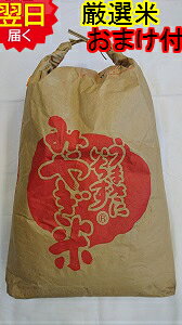 【令和6年産 】宮城県産 産地厳選 こがねもち米 30kg (精米無料☆選択してください↓)宮城米推奨店登録店※北海道、沖縄、離島は発送見合わせております。