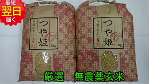 【令和7年産 新米】山形県産 無農薬 つや姫 ★玄米10kg送料無料※北海道、沖縄は発送見合わせております。