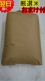 【令和7年産　新米】静岡県産　厳選　ミルキークイーン玄米30kg(もしくは精米無料)送料無料※北海道、沖縄、離島は発送見合わせております。