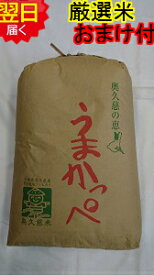 【令和5年産　新米】茨城奥久慈　うまかっぺコシヒカリ★玄米30Kg（もしくは精米無料）特別栽培米、減農薬米送料無料※北海道、沖縄、離島は発送見合わせております。
