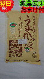 【令和5年産　新米】茨城奥久慈　うまかっぺコシヒカリ★玄米5kg特別栽培米、減農薬米送料無料※北海道、沖縄は発送見合わせております。