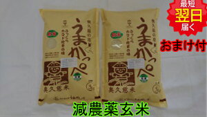 yߘa7NY@Vāz鉜v@܂؃RVqJ10kgi5kg2܁jʍ͔|āA_đkCA͔킹Ă܂B