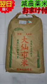 【令和5年産　新米】秋田県産　減農薬　あきたこまち玄米30kg(精米無料)送料無料※北海道、沖縄、離島は発送見合わせております。