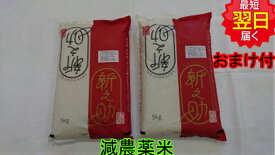 お試し特価　減農薬米【令和5年産　新米】新潟県産 新之助 10kg(5kg×2) 特別栽培米 送料無料 ※北海道、沖縄は発送見合わせております。