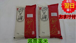 @_āyߘa7NY@VāzVY VV 10kg(5kg×2) ʍ͔|  kCA͔킹Ă܂B