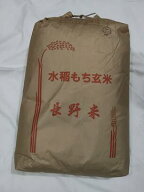 令和7年産 　長野県産 産地厳選 ひめのもち米 30kg 　ヒメノモチ（精米無料☆選択してください↓）宮城米…