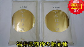 お試し価格【令和5年産　新米】福井県産　減農薬米　いちほまれ 10kg(5kg×2) 送料無料 ※北海道、沖縄は発送見合わせております。