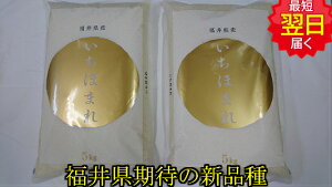 お試し価格【令和7年産 新米】福井県産 減農薬米 いちほまれ 10kg(5kg×2) 送料無料 ※北海道、沖縄は発送見合わせております。
