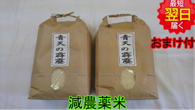 【令和7年産　新米】青森県産 青天の霹靂 10kg(白米、玄米) 特別栽培減農薬減化学肥料米 送料無料 ※北海道、沖縄、離島は発送見合わせております。