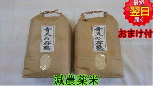 yߘa7NY@VāzXY V 10kg(āA) ʍ͔|_򌸉w엿  kCAA͔킹Ă܂B