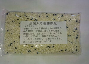 y̔@ԌzēVԔѕā@2i300gj